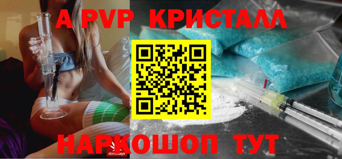 A-PVP СК КРИС Урус-Мартан