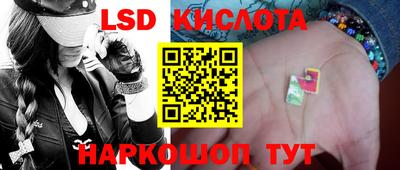 амф Можга