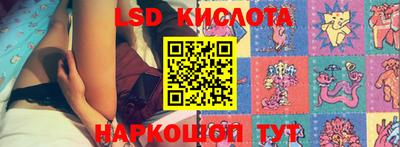 амф Можга