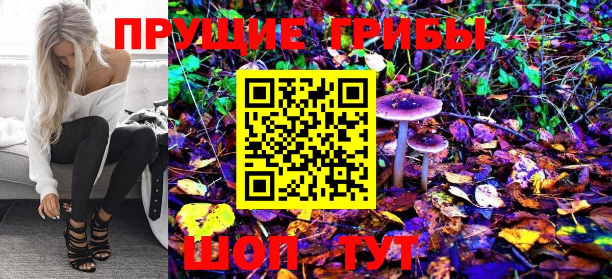 Псилоцибиновые грибы Psilocybe Урус-Мартан